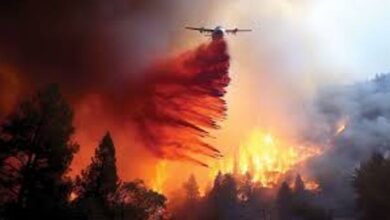 صحيفة حرييت: استمرار حرائق الغابات في إزمير لليوم الرابع تواليا