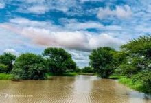 التساقطات المطرية المسجلة خلال الــ 24 ساعة الماضية - مقاييس