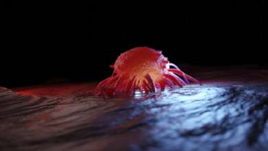 دراسة ضخمة تكشف عن أطعمة قد تمنع الإصابة بالسرطان