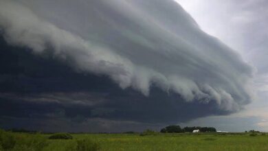 الأرصاد الجوية: درجات الحرارة متوسطة و أمطار متوقعة على عموم موريتانيا