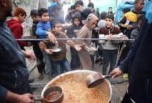 الأمم المتحدة: 798 شهيدا خلال توزيع مساعدات في غزة منذ أواخر أيار