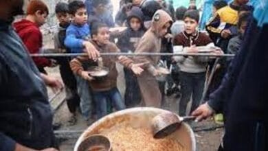 الأمم المتحدة: 798 شهيدا خلال توزيع مساعدات في غزة منذ أواخر أيار