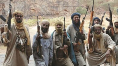 جماعة نصرة الإسلام والمسلمين تسيطر على بلدة فارابوغو الاستراتيجية وسط مالي