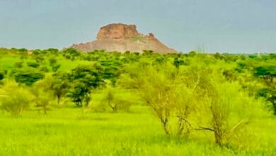 توقع نهاية أسبوع ماطرة في عشر ولايات موريتانية