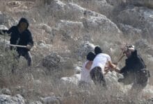 الضفة الغربية: اعتقالات وإصابات جرّاء اعتداءات الاحتلال والمستوطنين التي طالت المزارعين