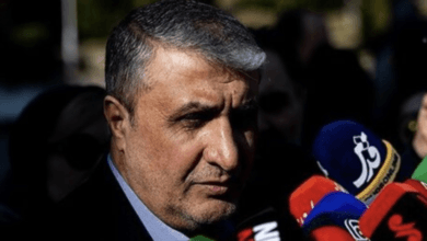 إسلامي: إيران تمتلك قدرات كافية ولا تحتاج إلى سلاح نووي للردع