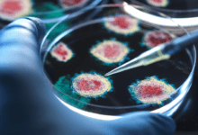 دراسة مقلقة.. قنابل فيروسية مهملة قد تهدد الصحة العالمية