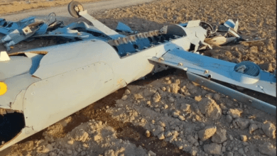 الجيش الإيراني: تدمير 12 طائرة قتالية واستطلاعية مسيّرة للعدو فوق البلاد