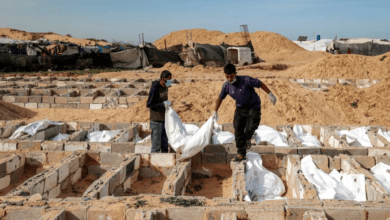 قطاع غزة: ارتقاء 591 شهيداً منذ إعلان وقف إطلاق النار