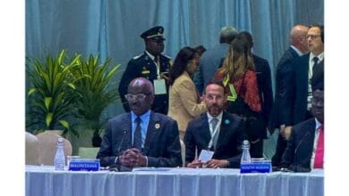 وزير الخارجية في القمة الإفريقية الإيطالية يتحدث عن أهمية توجيه التعاون نحو تحقيق الطموحات الإفريقية