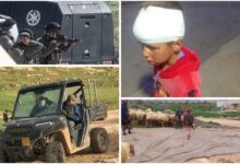 إصابة طفل وشاب وسرقة رؤوس ماشية في هجوم للمستعمرين على مسافر يطا