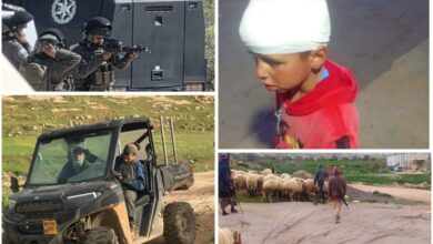 إصابة طفل وشاب وسرقة رؤوس ماشية في هجوم للمستعمرين على مسافر يطا