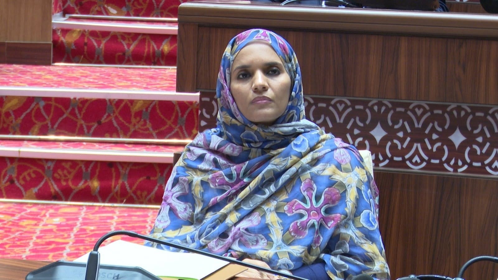 الجمعية الوطنية تصادق على انضمام موريتانيا لاتفاقية حماية المجاري المائية…