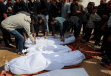 شهيدان و29 إصابة في غزة خلال 24 ساعة... وحصيلة العدوان تتجاوز 73 ألف شهيد