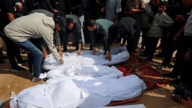 شهيدان و29 إصابة في غزة خلال 24 ساعة... وحصيلة العدوان تتجاوز 73 ألف شهيد