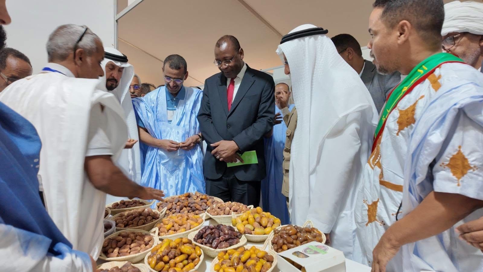 أطار: مهرجان التمور في يركز على تطوير الإنتاج والتصنيع